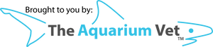 Aquarium School